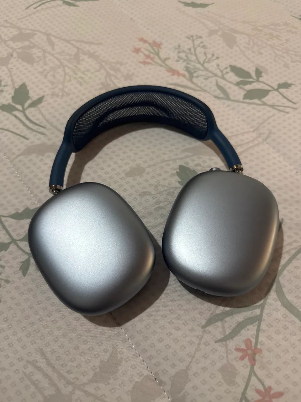 Ar pods Max