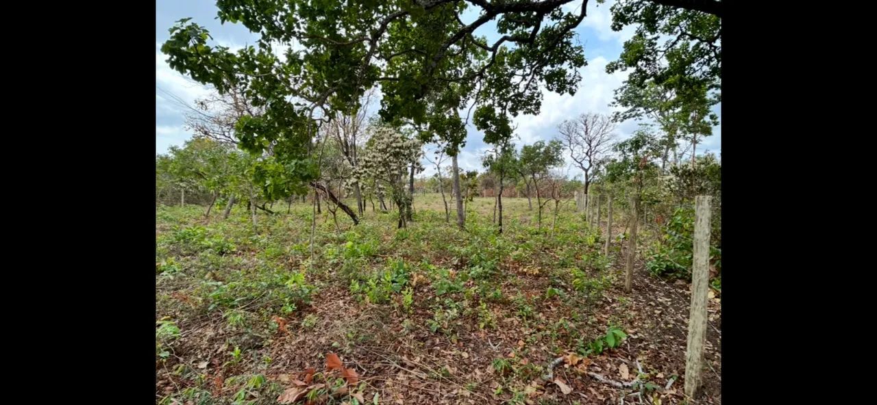 CHÁCARA TAQUARUÇU  - Foto 4