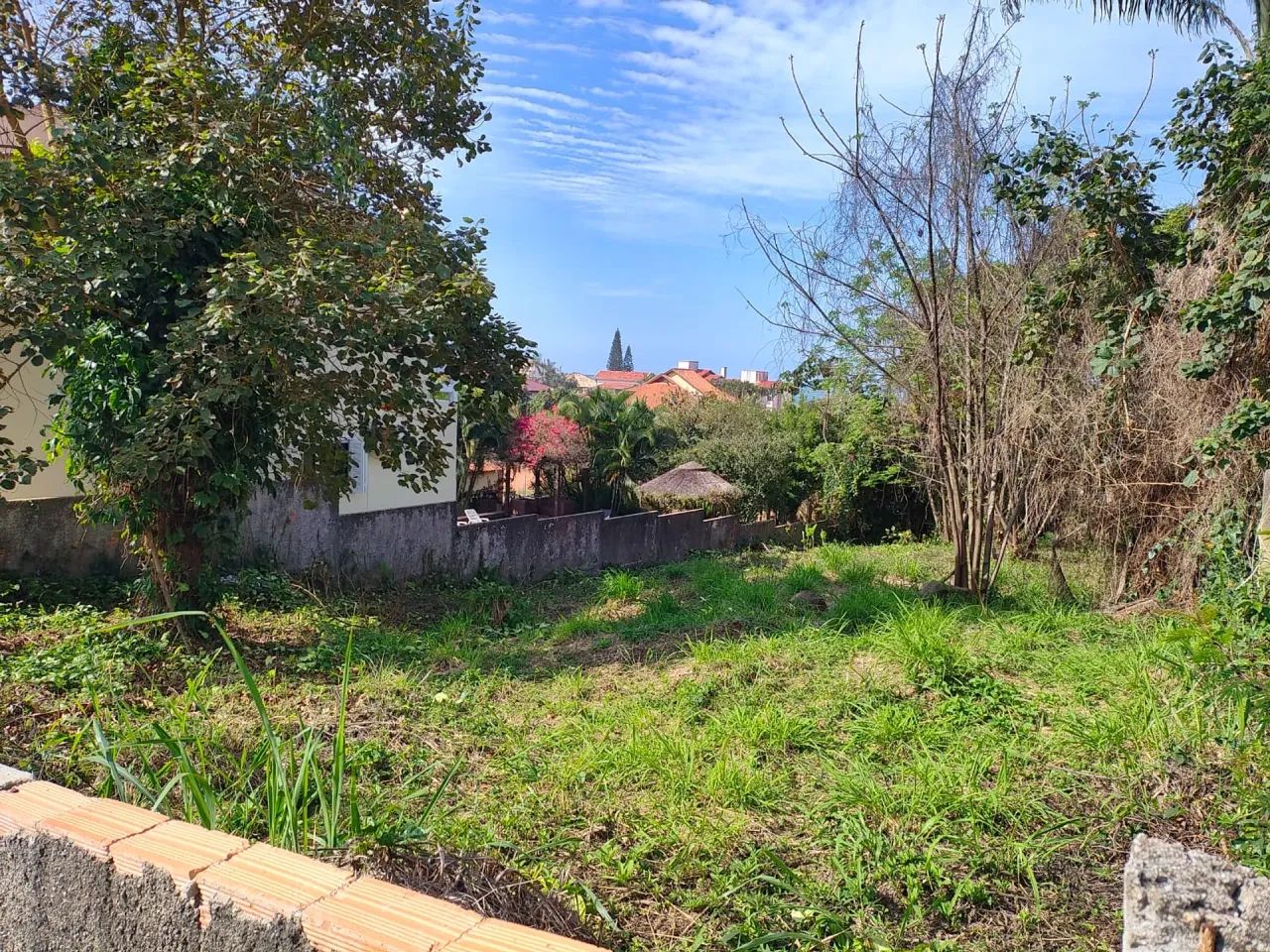 Imóvel para venda com 799 metros quadrados em Praia Brava - Florianópolis - SC
