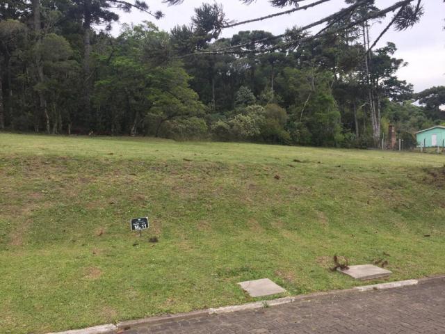 Terreno à venda, 720 m² por r$ 618.338,53 - centro - canela/rs - Foto 3