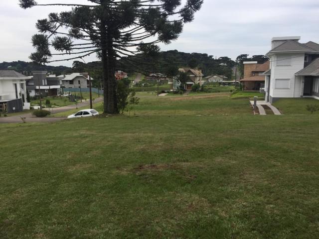 Terreno à venda, 720 m² por r$ 618.338,53 - centro - canela/rs - Foto 6