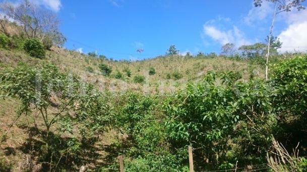 Chácara São Luis, Volta Redonda - Foto 5
