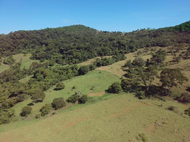 Fazenda 25 Alqueires ( 121 hectares )-Varjão-GO porteira fechada - Foto 10