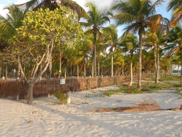 Gleba de Terras, Ilha de Tubarão, Camamu-BA - Foto 19