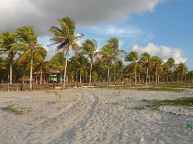 Gleba de Terras, Ilha de Tubarão, Camamu-BA - Foto 16