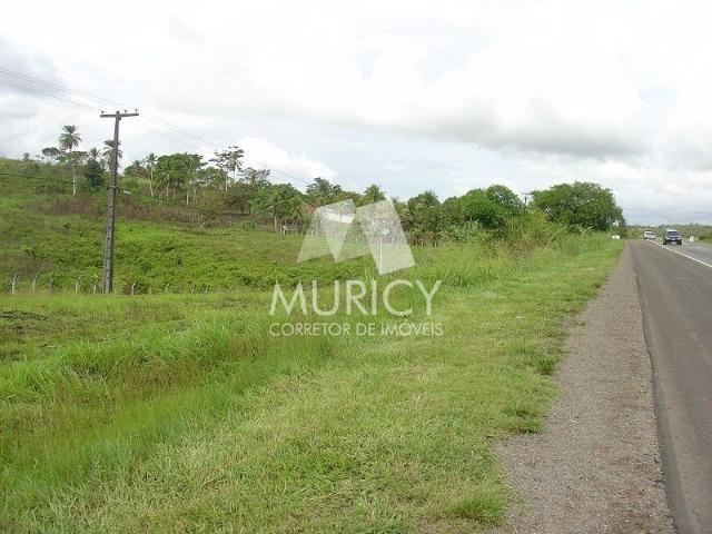 Grande oportunidade, área às margens da BR-324, município de Candeias-BA - Foto 3