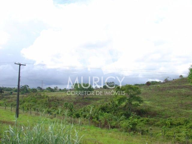 Grande oportunidade, área às margens da BR-324, município de Candeias-BA - Foto 4