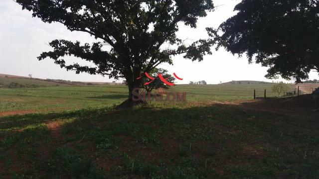 8051 | Sítio à venda em NÃO INFORMADO, SANTO INÁCIO - Foto 2