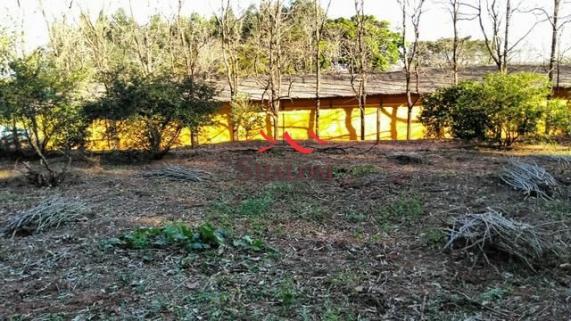 8051 | Sítio à venda em NÃO INFORMADO, IGUARAÇU - Foto 6