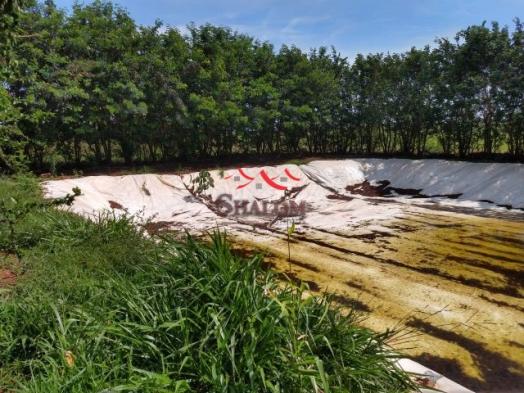 8051 | sítio à venda em não informado, barão de lucena - Foto 8
