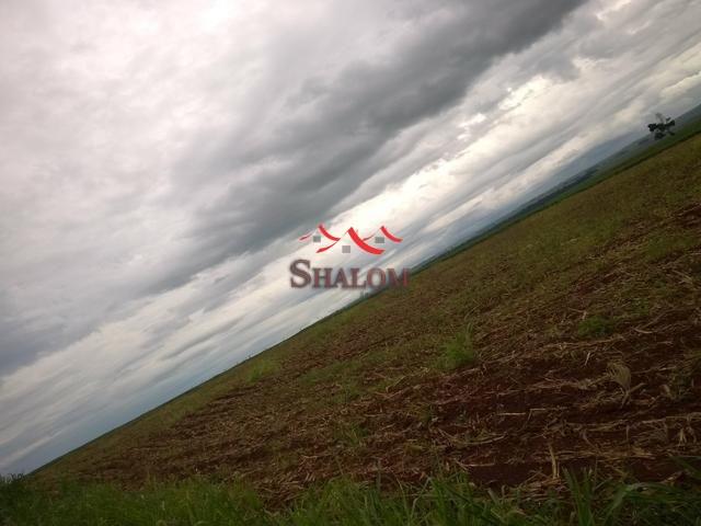 8051 | Sítio à venda em NÃO INFORMADO, ÂNGULO - Foto 3
