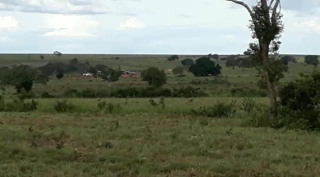 Fazenda de 853 hectares .400 hectares mecanizados . Colinas do Tocantins- TO - Foto 9