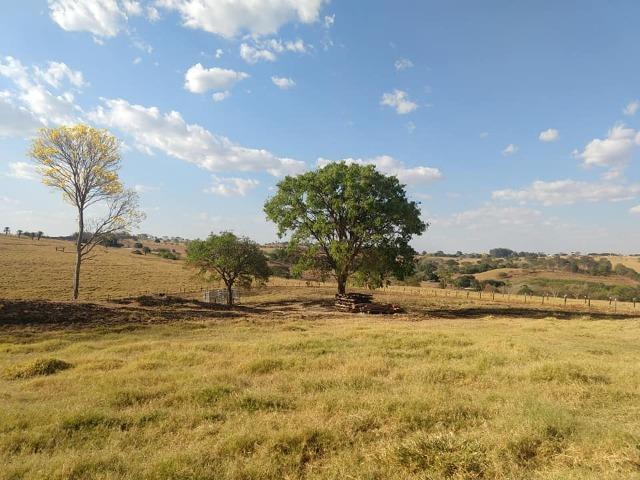 Fazenda Inhumas - Foto 5