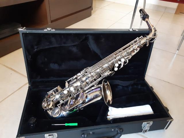 Sax Parrot - Foto 2