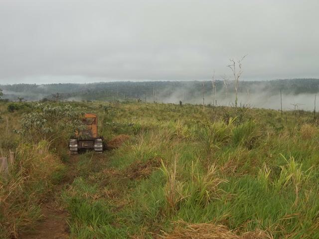 Imperdível vendo excelente Fazenda em Bom Jardim-Ma - Foto 12