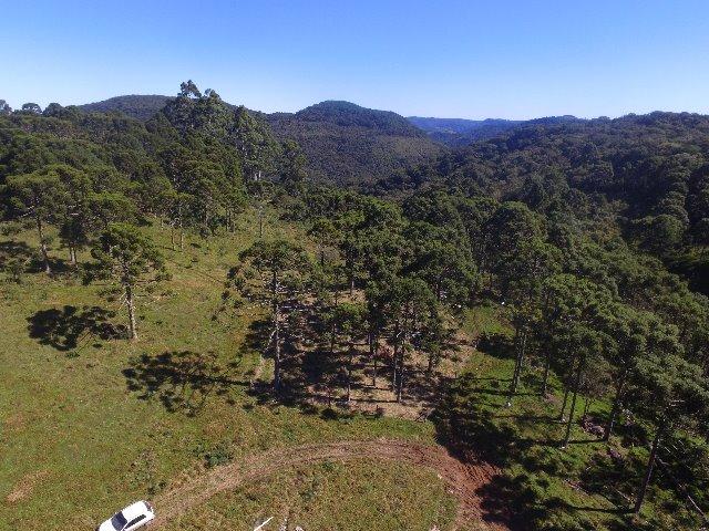 Propriedade Rural em São Francisco de Paula/RS - Rincão dos Kroeff - Foto 5
