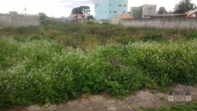 Terreno à venda com 0 dormitórios em Iguaçu, Fazenda rio grande cod:1893 - Foto 8