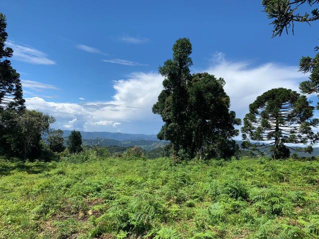 Venda de Chácaras em Urubici - Foto 5