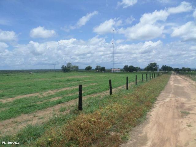 Fazenda para Venda em Gurupi, Área Rural de Gurupi, 3 dormitórios, 2 banheiros, 5 vagas - Foto 13