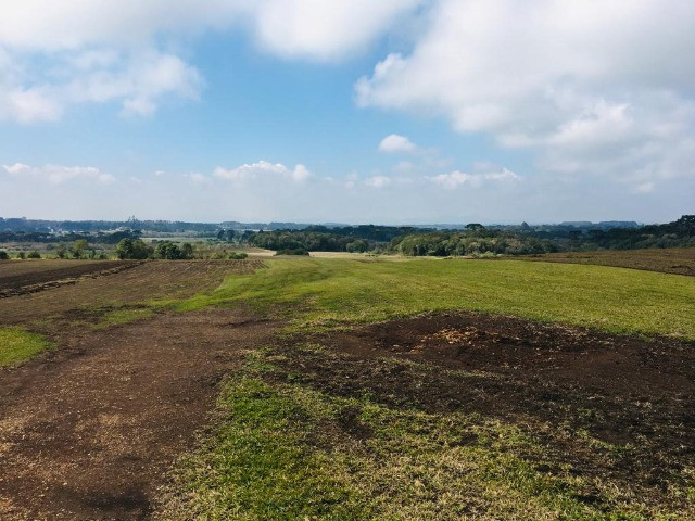 Área Rural em São José dos Pinhais - Foto 11