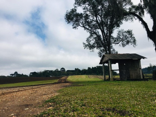 Área Rural em São José dos Pinhais - Foto 8
