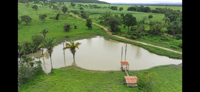 Excelente Fazenda com 180 Alqueires
