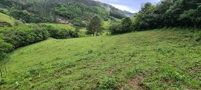 Vendo sítio de 12 hectares (120.000 mil metros) - Foto 5