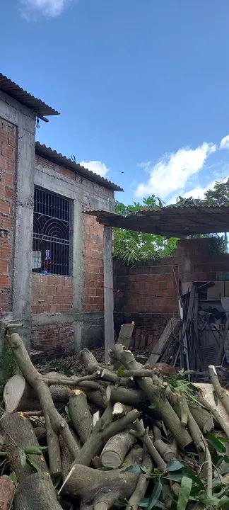 Poda de árvores limpeza de terreno - Foto 2