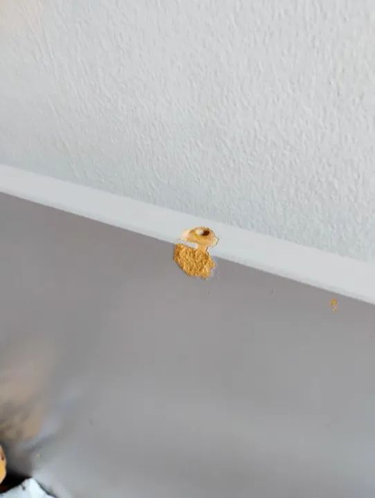 Berço Matic ( vira mini cama ) - Foto 2