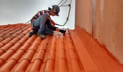 Telhados em geral manutenção e impermeabilização 