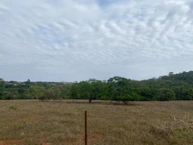 Chácara de 20.000 m² toda cercada, com riacho nos fundos, Jaboticatubas. - Foto 6