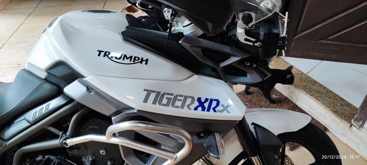 Tiger 800 ano 2015