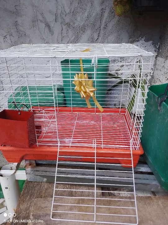  Vende se Gaiola para Roedores