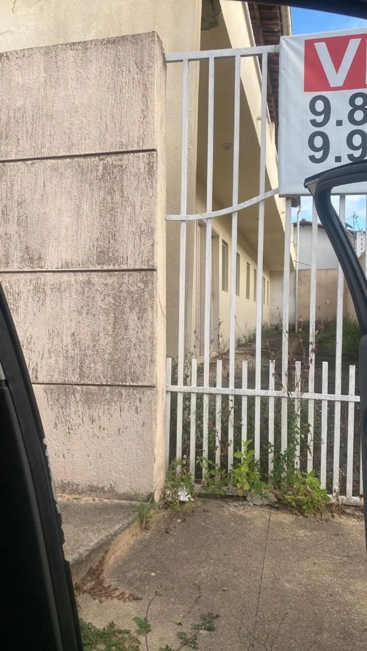 Foto - Natal - Capim Macio