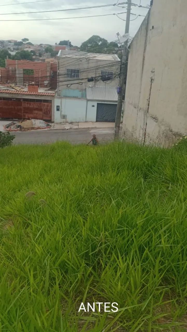 Roçamos lotes e terrenos - orçamento sem compromisso  - Foto 3