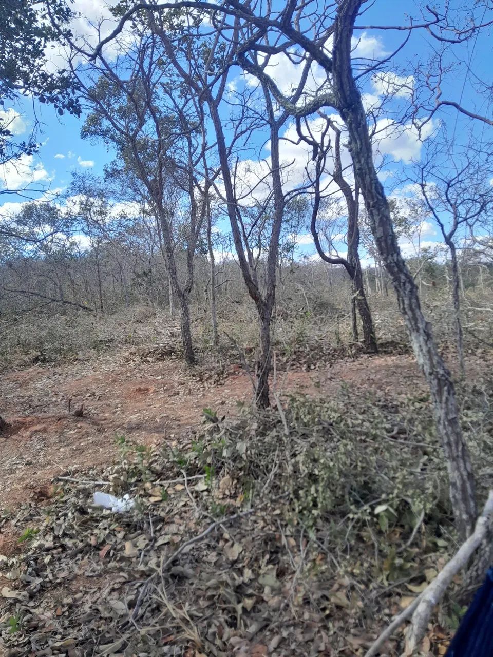 Foto - Montes Claros - Jardim Olímpico