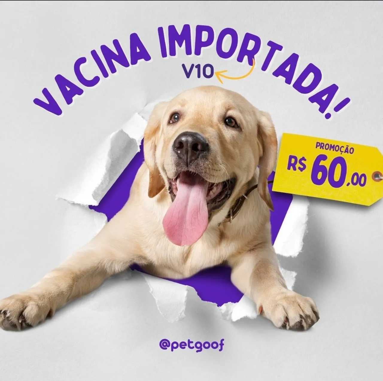 Garantimos o menor preço 