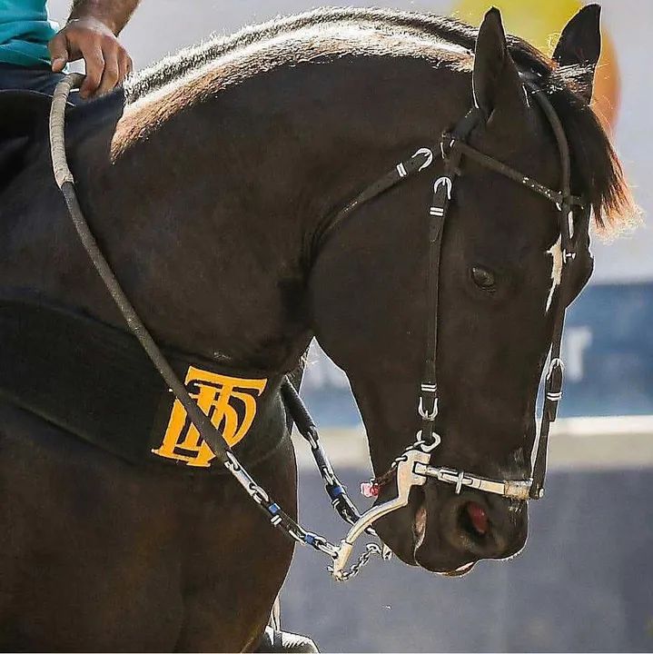 Cobertura a venda do Don Diego Toro - Foto 4