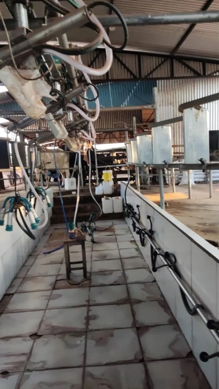 Fazenda Gomendador gomes 