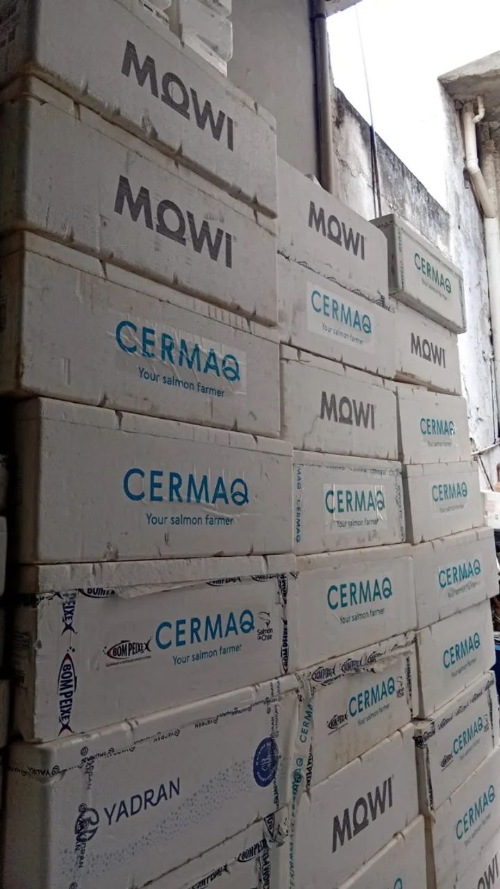 CAIXA DE ISOPOR (EPS térmica) -18 - Foto 3