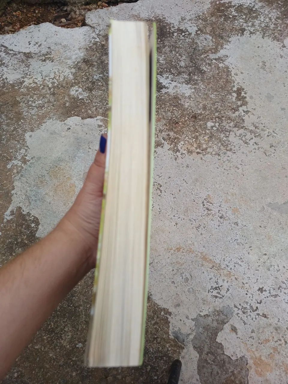 Livro Como se casar com um marquês  - Foto 3