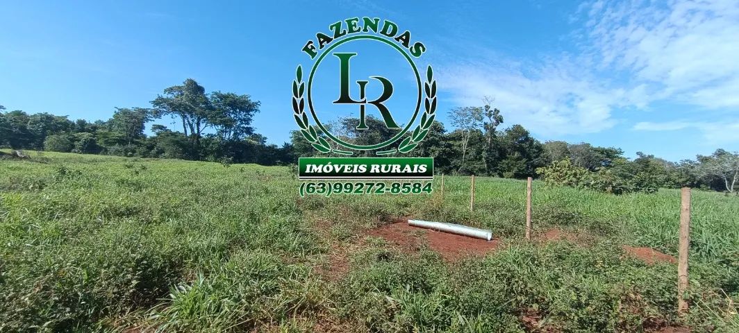 Fazenda 18 Alqueires Próximo a Palmas - Foto 3
