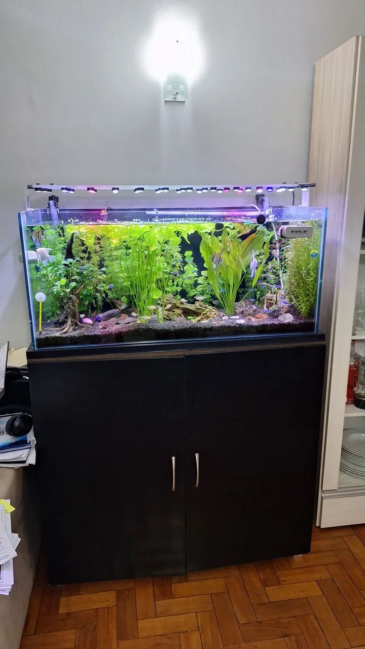 Aquário completo
