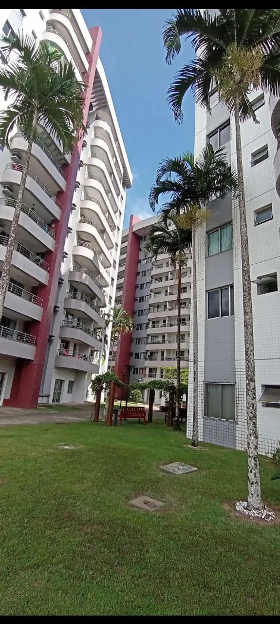 Chácaras Cedro, 3/4, alto, nascente, muito ventilado, armários, Aluguel anual