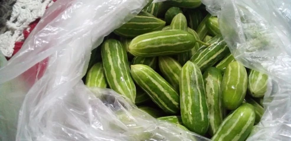 mini pepinos verdes  - Foto 2