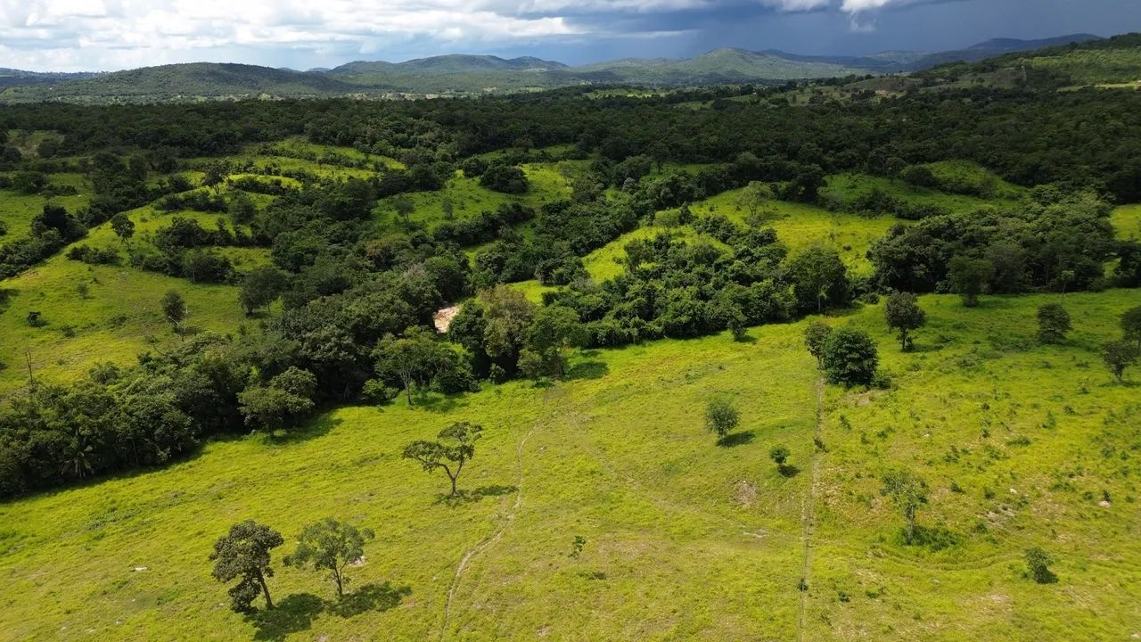 Vendo Fazenda  - Foto 3