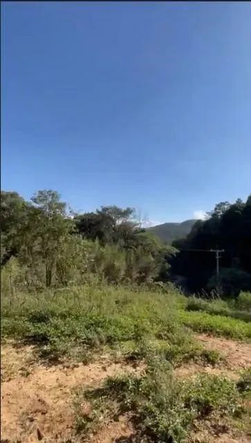 Terreno à venda, BATEIAS , CAMPO LARGO DA ROSEI - PR - Foto 5