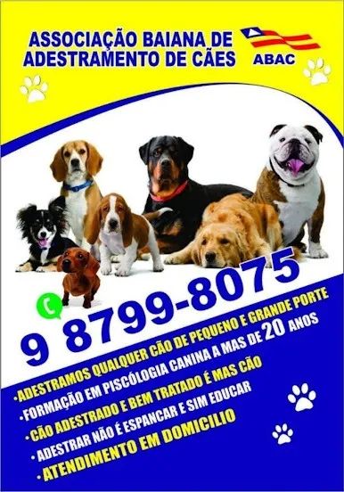 Adestramento & Psicologia Canina ! Qualquer dúvida é só ligar !