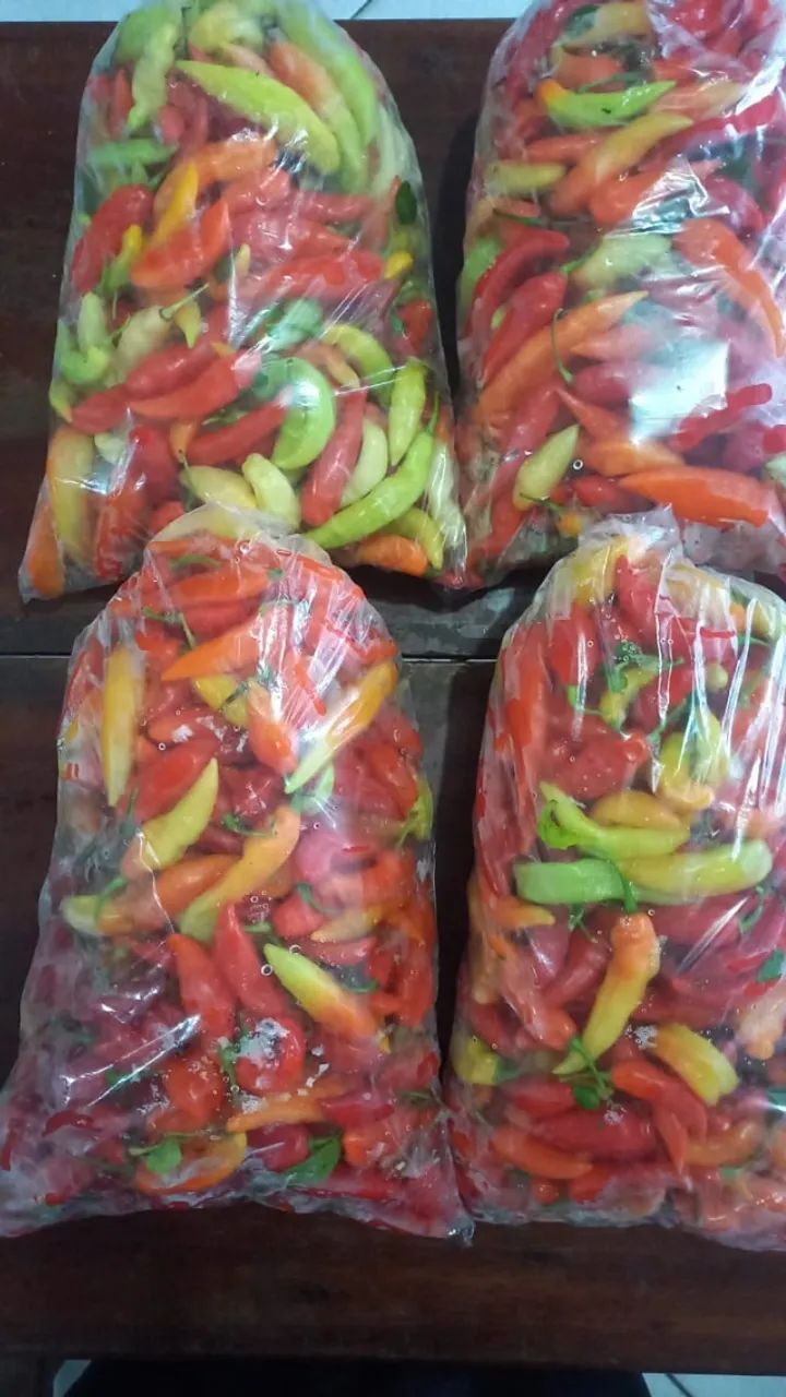 Pimenta dedo de moça