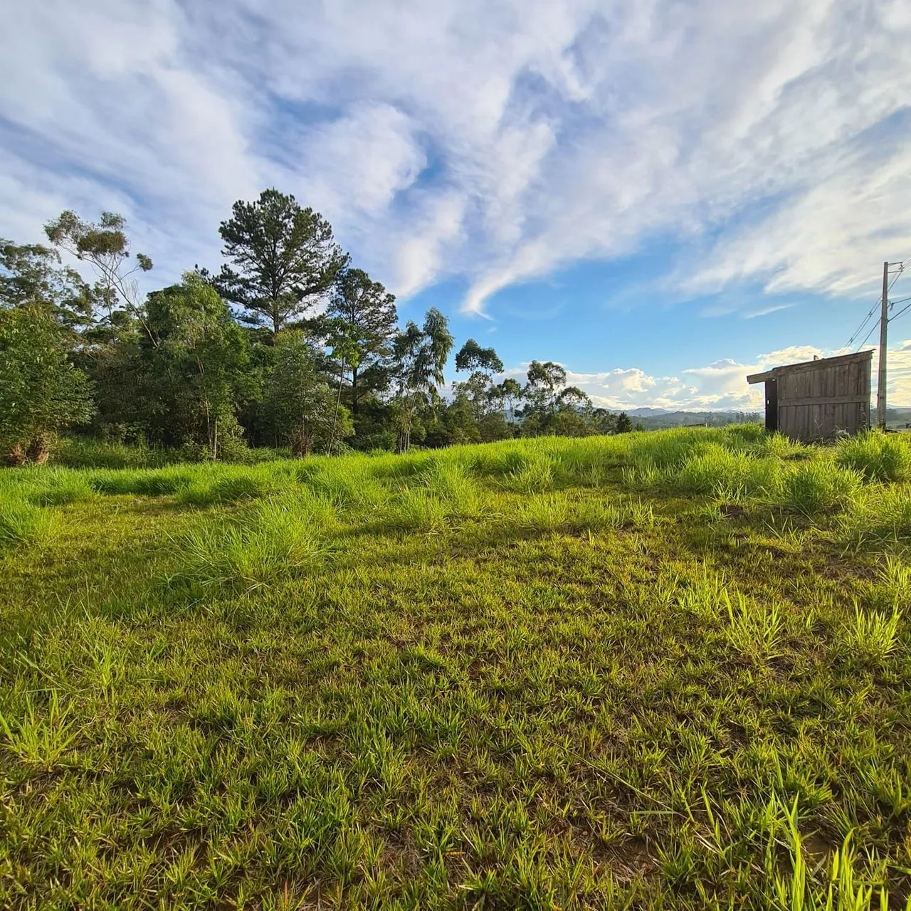 Terreno em São João do Itaperiu  - Foto 2